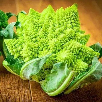 Капуста цвiтна Романеско Наталіно (0.5г) TM GL Seeds 2871621031 фото