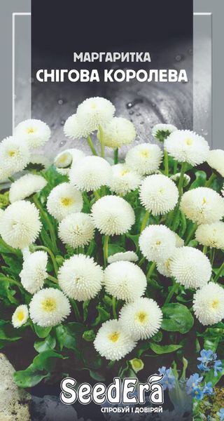 Маргаритка Снігова Королева 0,1 г Seedera 2354964823 фото