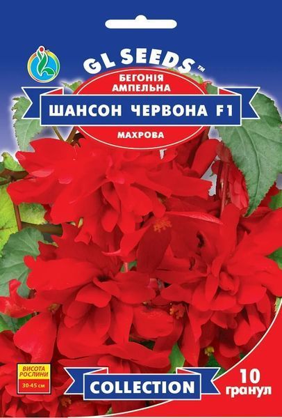 Бегонiя ампельна Шансон F1 червона (10шт) TM GL Seeds 2447920171 фото