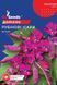 Долiхос Рубiновi iскри (5шт) TM GL Seeds 2871625443 фото 2