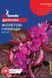 Долiхос Фiолетовi гiрлянди (5шт) TM GL Seeds 2871625592 фото 2