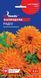Календула Радіо (0.5г) TM GL Seeds 2447947609 фото 2