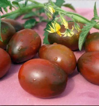 Помідор Де-барао чорний (0,1 г), TM GL Seeds (індетермінантний) 2527639971 фото