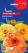 Календула Дежавю (0.5г) TM GL Seeds 2447948338 фото 2