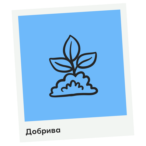 Banner from design