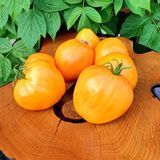 Помідор Бичаче серце жовтий (0.1г) TM GL Seeds (індетермінантний) 2463660463 фото