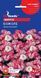 Іберіс Божоле (0.5г), TM GL Seeds 2733180536 фото 2