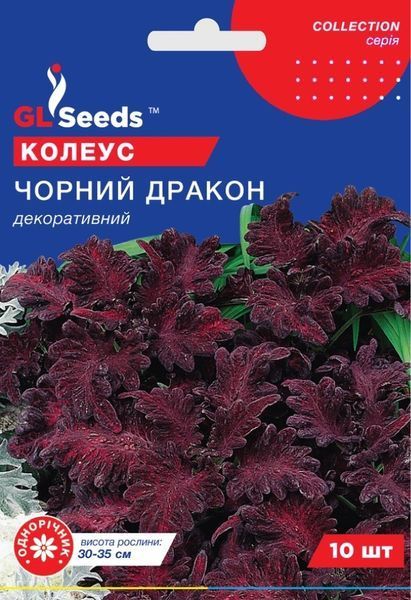 Колеус Чорний дракон (10шт) TM GL Seeds 2447949863 фото
