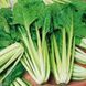 Мангольд Лукулус зелений (3г) TM GL Seeds 2475830764 фото 1