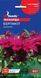 Монарда Бергамот (0.1г) TM GL Seeds 2475860881 фото 2