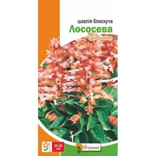 Сальвія низька блискуча Лососева 0.1 г Яскрава 2401676043 фото