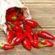 Перець гострий Вогник (0.2г) TM GL Seeds 2485220308 фото 1