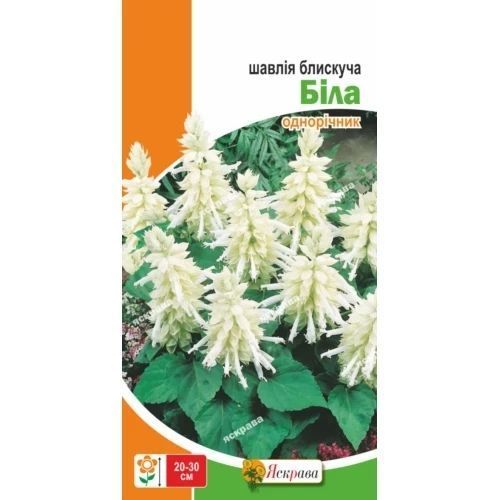 Сальвія блискуча Біла 0.15 г Яскрава 2401677808 фото
