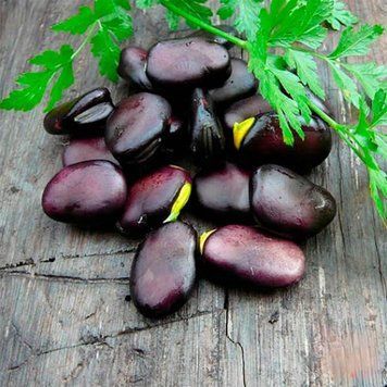 Боби Екстра Грано Вiолетто (15г) TM GL Seeds 2858638239 фото