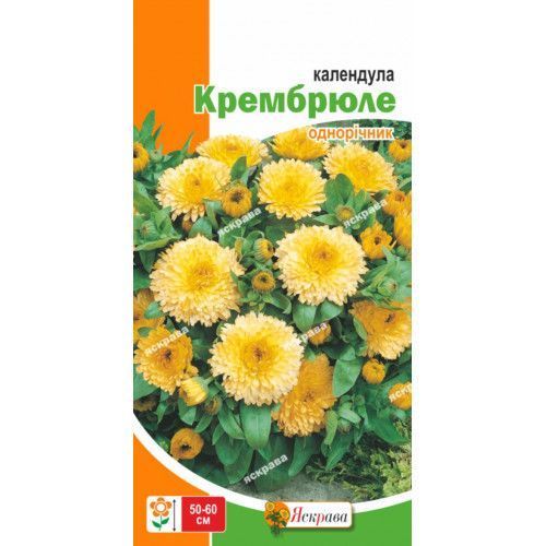 Календула Крембрюле 0,5 г Яскрава 2451849969 фото