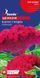 Целозiя Корал Гарден (0.25г) TM GL Seeds 2858639253 фото 2