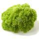 Салат Лолло Бiонда (1г) TM GL Seeds 2880783015 фото 1