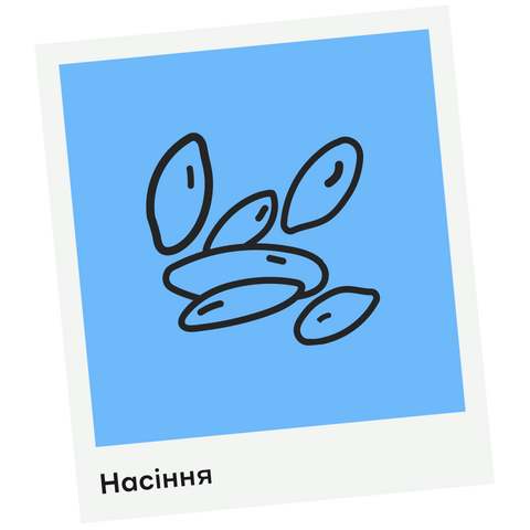 Banner from design