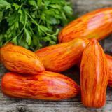 Помідор Перцевидний смугастий (0.1г) TM GL Seeds (індетермінантний) 2485246437 фото
