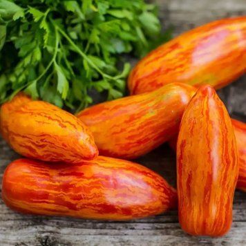 Помідор Перцевидний смугастий (0.1г) TM GL Seeds (індетермінантний) 2485246437 фото