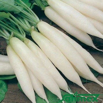 Редис Лядяна бурулька Satimex 3 г (зіп-пакет) 2389834133 фото