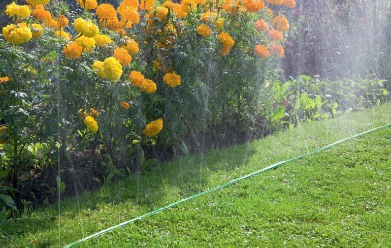 Шланг спринклерний 3-х канальний 15м "SPRITZ HOSE", WSH15 Брадас 2595056562 фото