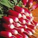 Редиска 18 днів (20г) TM GL Seeds 2880983782 фото 1