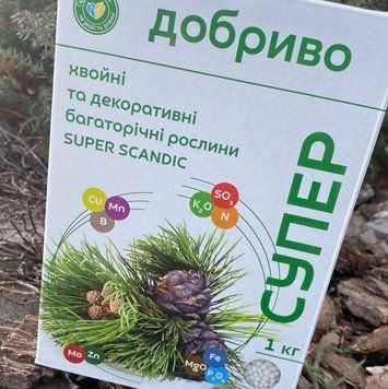 Супер Добриво для хвойних та декоративних багаторічних рослин SUPER SCANDIC, 1 кг 2478293638 фото