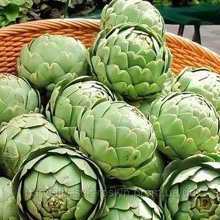 Артишок зелений Грiн Глоуб (0.5г) TM GL Seeds 2448012632 фото