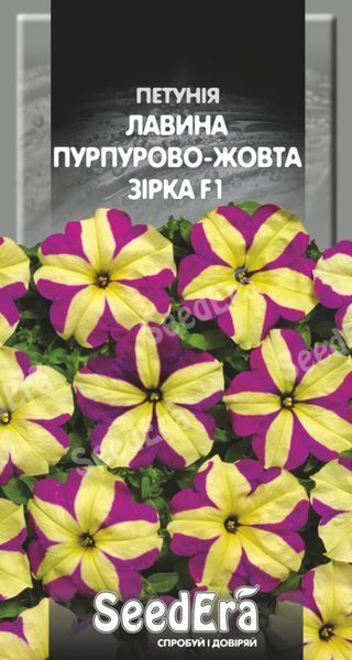 Петунія Лавина Пурпурово-Жовта Зірка F1 Сімейний сад 10 насінин 2459652859 фото