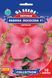 Петунія F1 Лавина Лососева 10шт TM GL Seeds 2772951267 фото 2